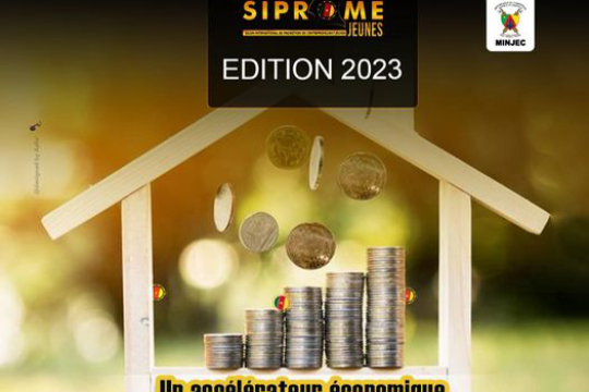 Un Tremplin Incontournable pour la Croissance de Votre Entreprise